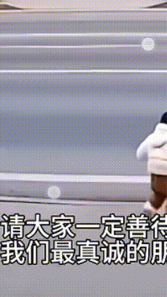 这样的忠犬值得好好善待！


狗狗是人类最真诚的朋友，无论贫穷富贵都不会离开你，