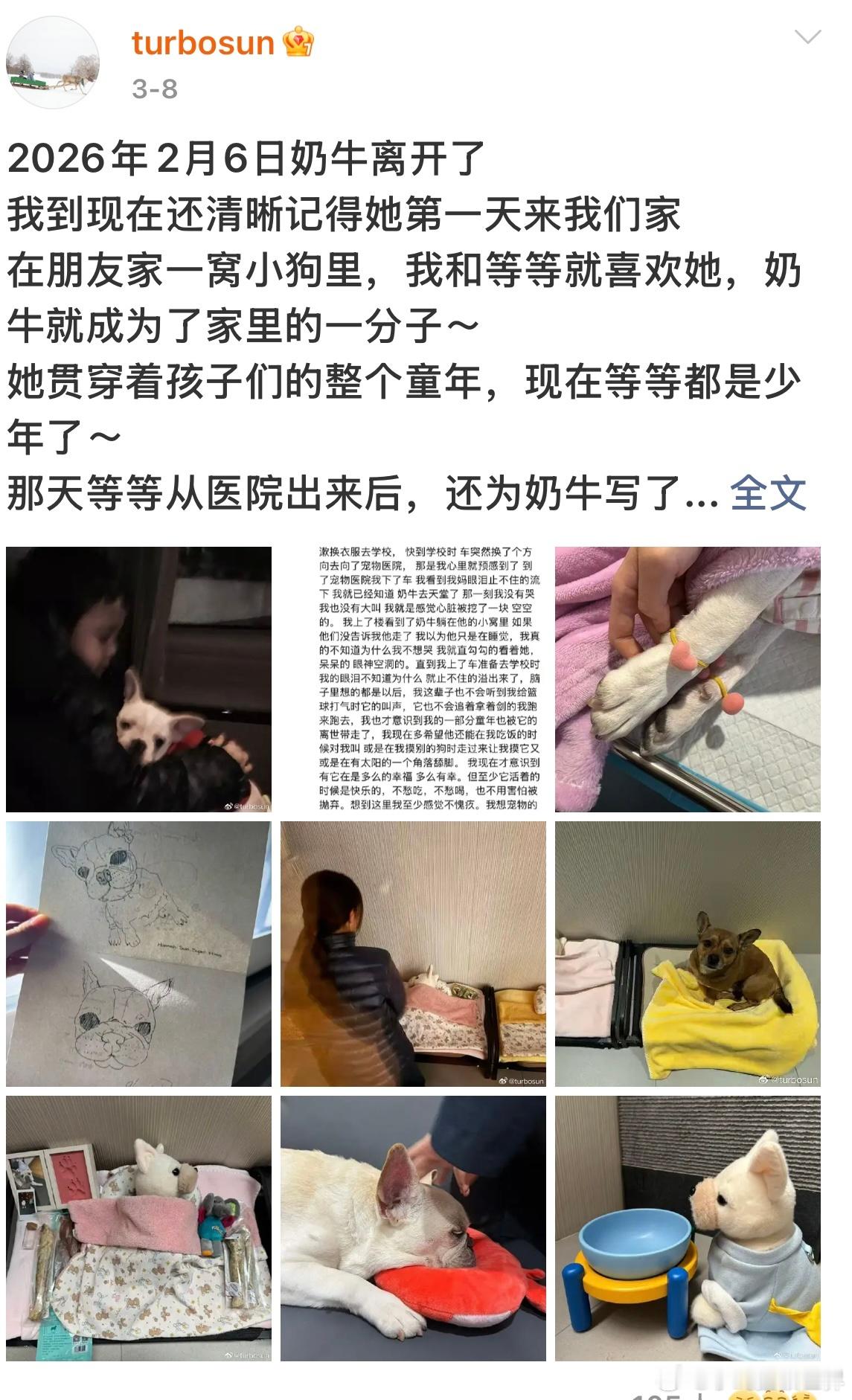 邓超跟女儿学习训狗技巧 最近邓超与女儿一起学习训狗，真是“活到老学到老”的典范！