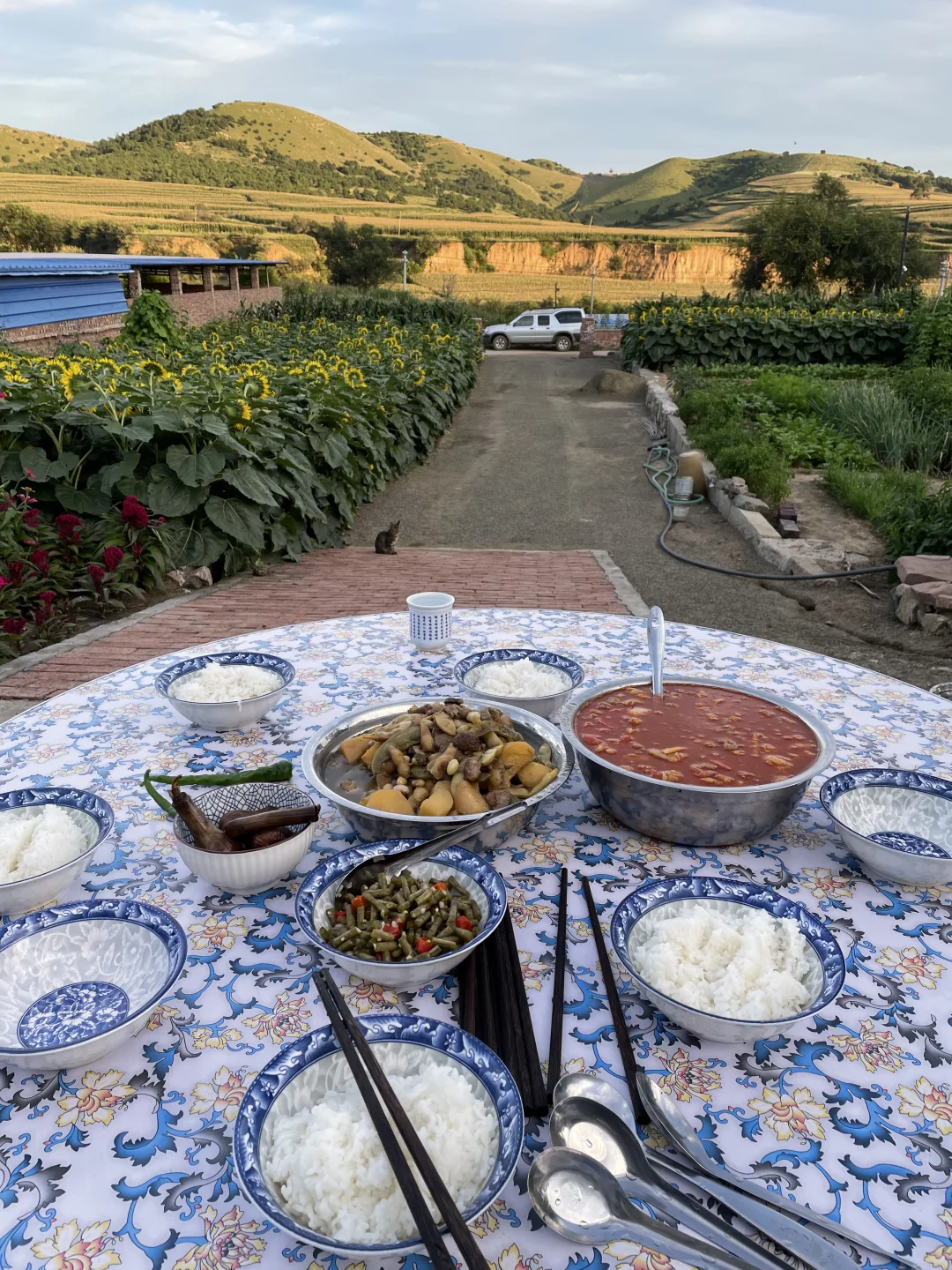 妈妈家的晚饭!!!