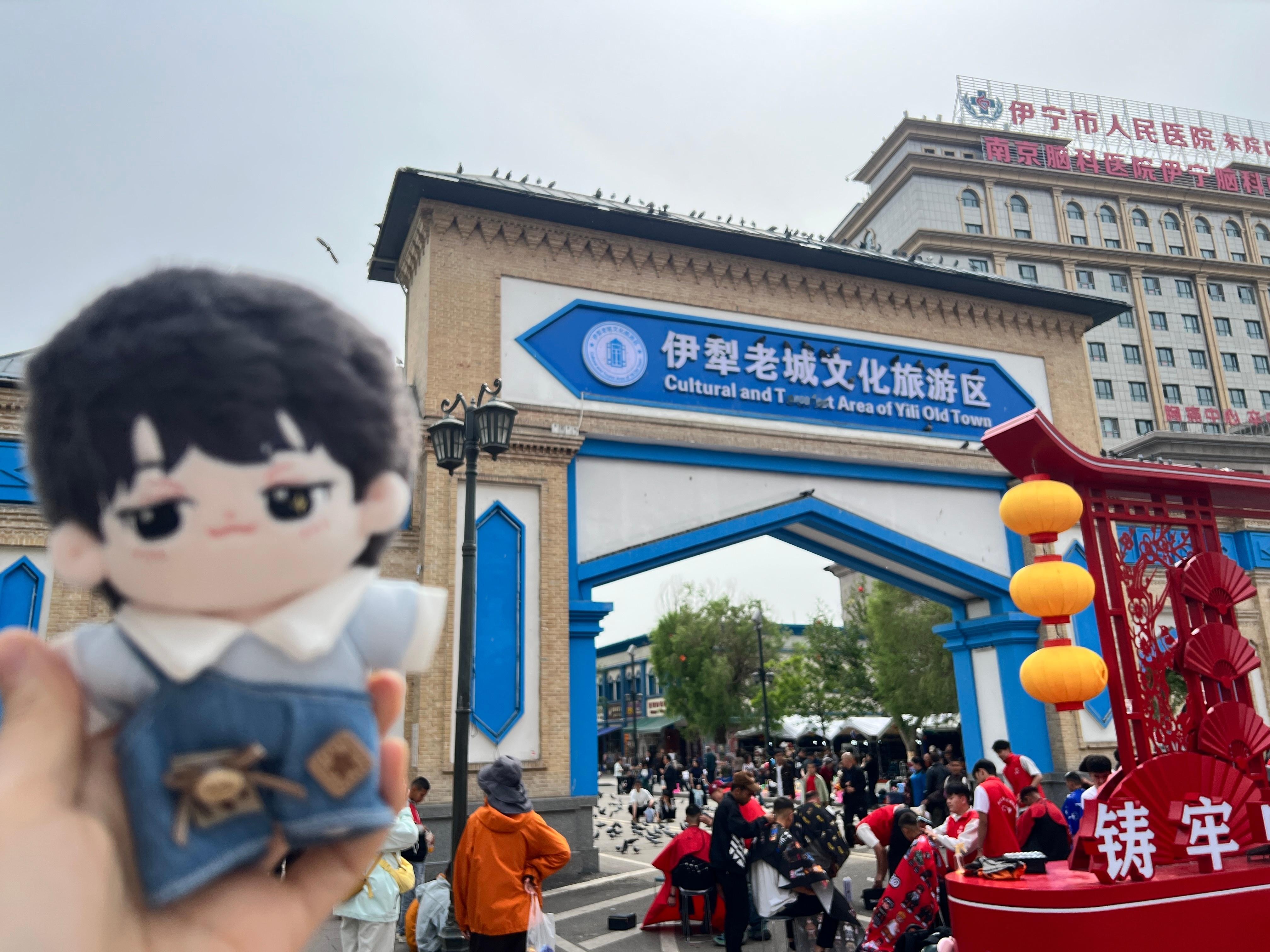 困得不想理人的猫/以为是麻雀结果是鸽子🕊️第一次见“虎皮”小鸡🐥/小得意勇闯