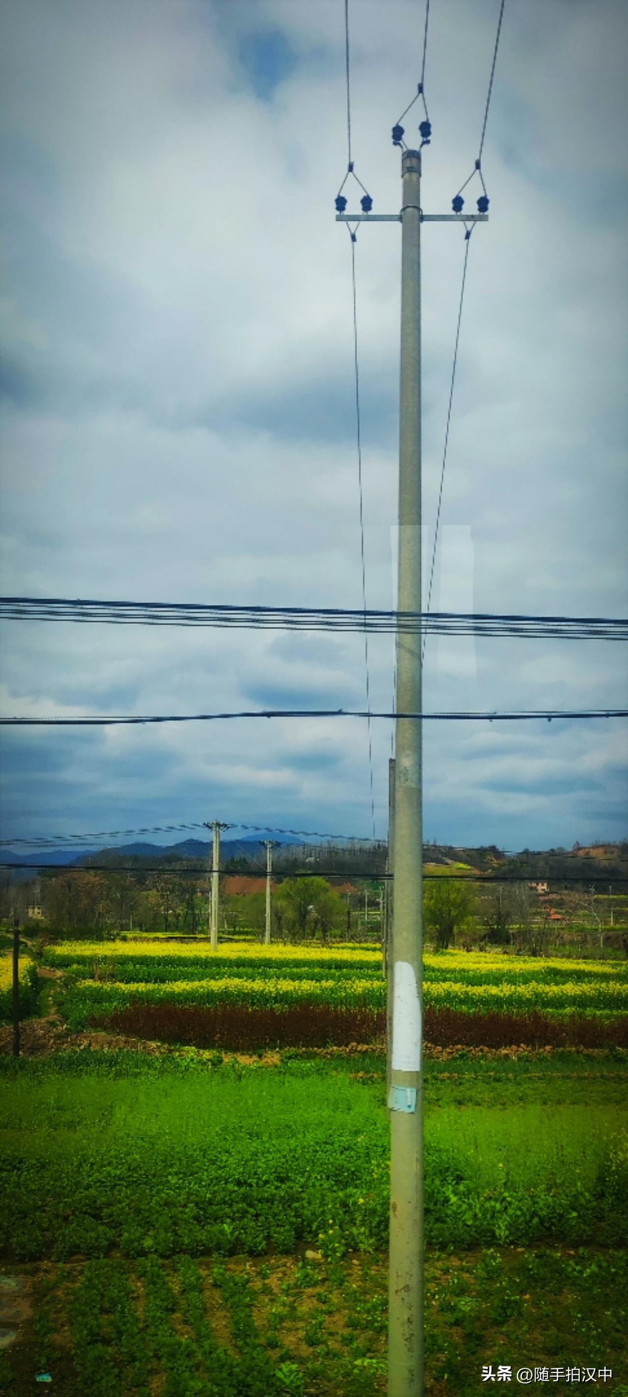 今年冬天的不同诗人说：“我走出房门，越走越远，只是想看看那油菜花开了没有。”出了