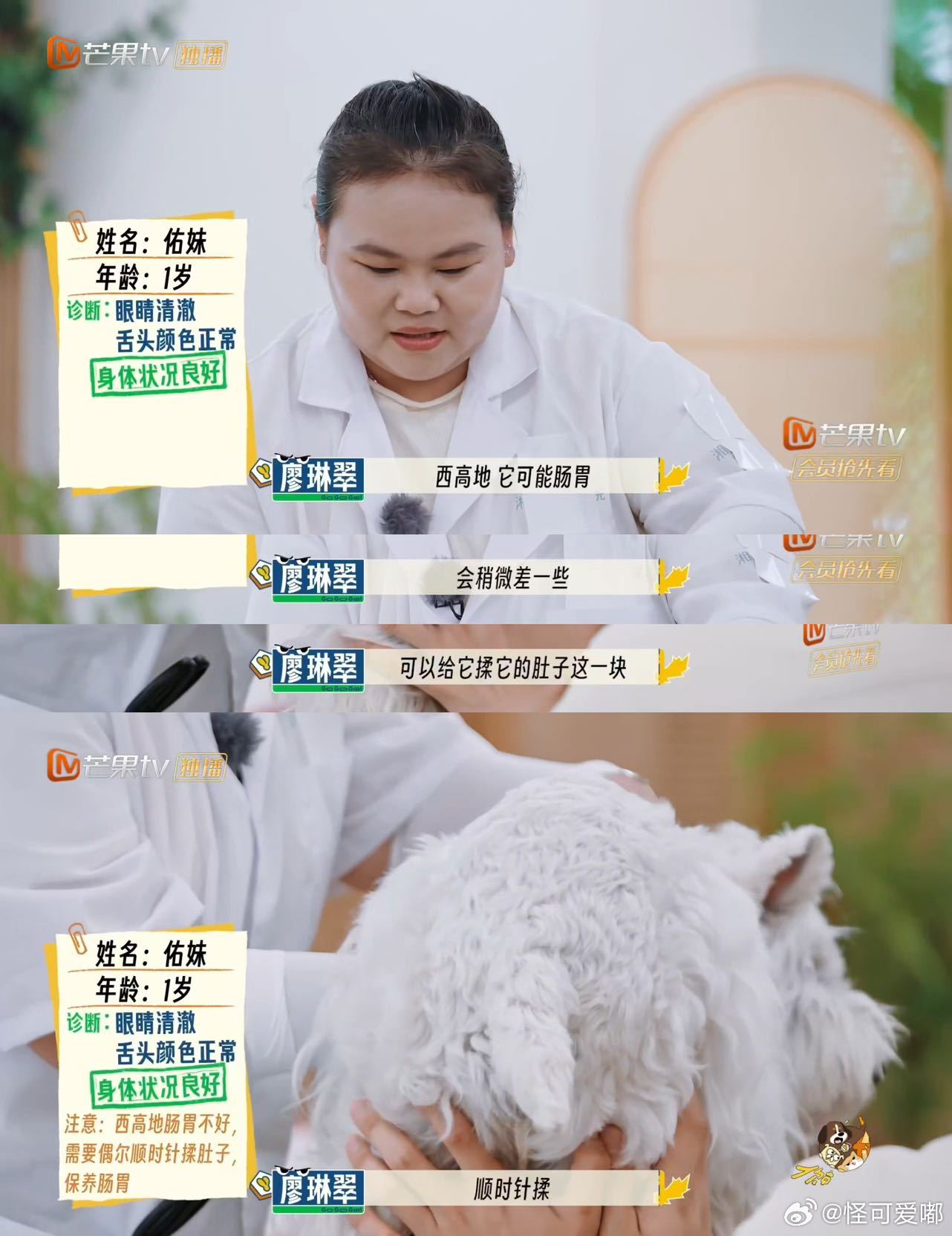 中医的风还是吹到了宠物界你就宠ta吧《你就宠ta吧》这期绝了！宠物中医大显身手，