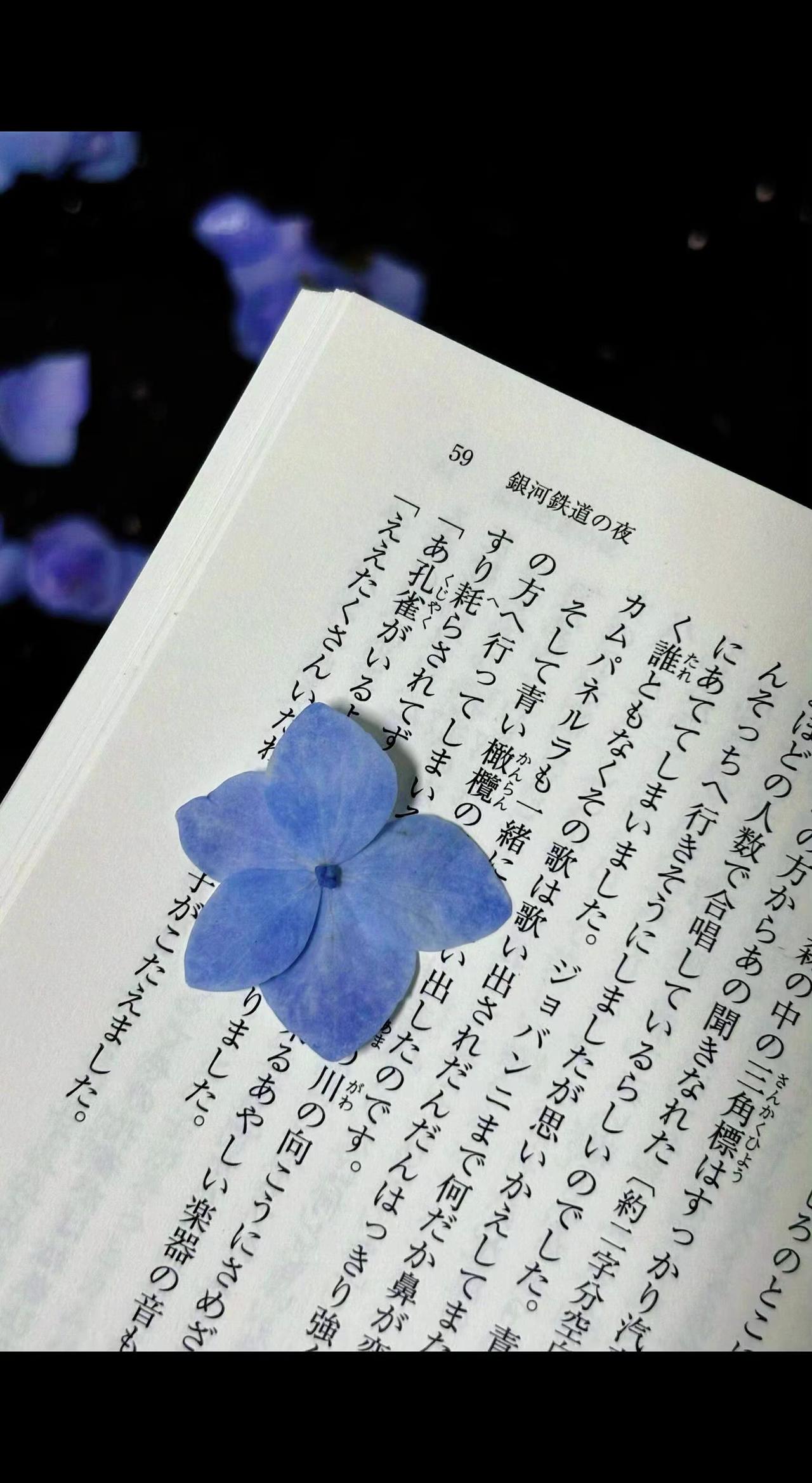 📖书页间藏着春天的蓝，文字突然有了花香🌸。时光慢成一枚书签，心事都温柔起来✨