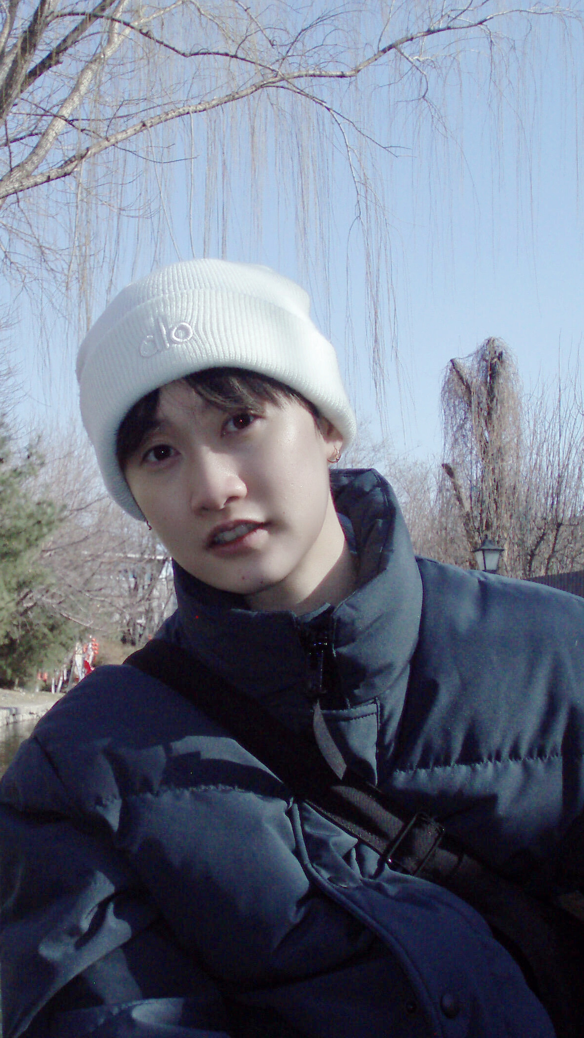 我怎么才看到这张