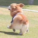 航然捧体育