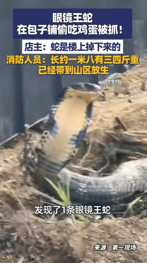 2026年5月7日，深圳龙岗区吉华街道秀峰二街，网友爆料+现场监控拍下惊险一幕！