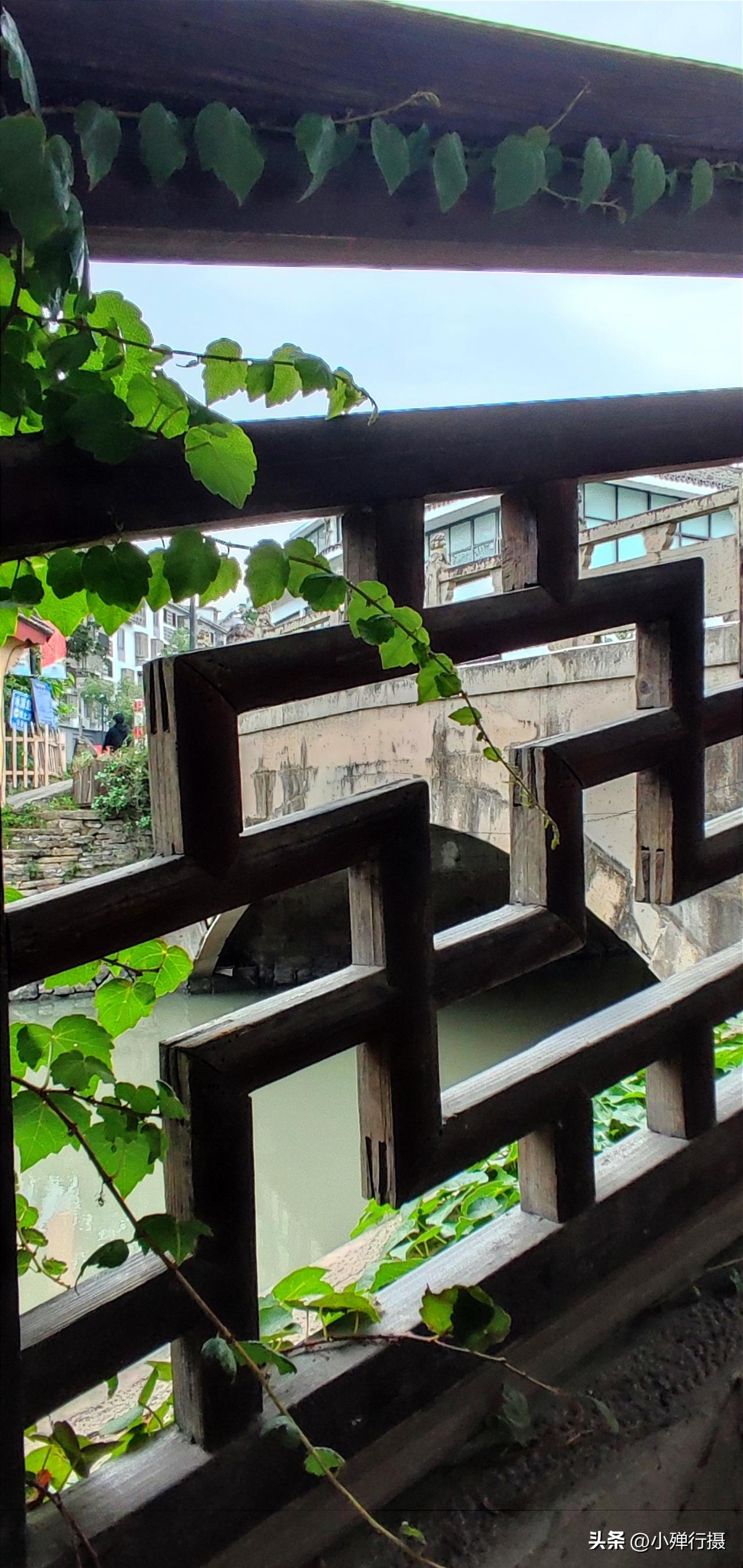 玉米在你们那儿的方言叫什么在我们路桥玉米的方言叫