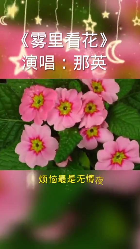 《雾里看花》演唱：那英。
有请那英老师。
雾里看花水中望月，你能分辨这变幻莫测的