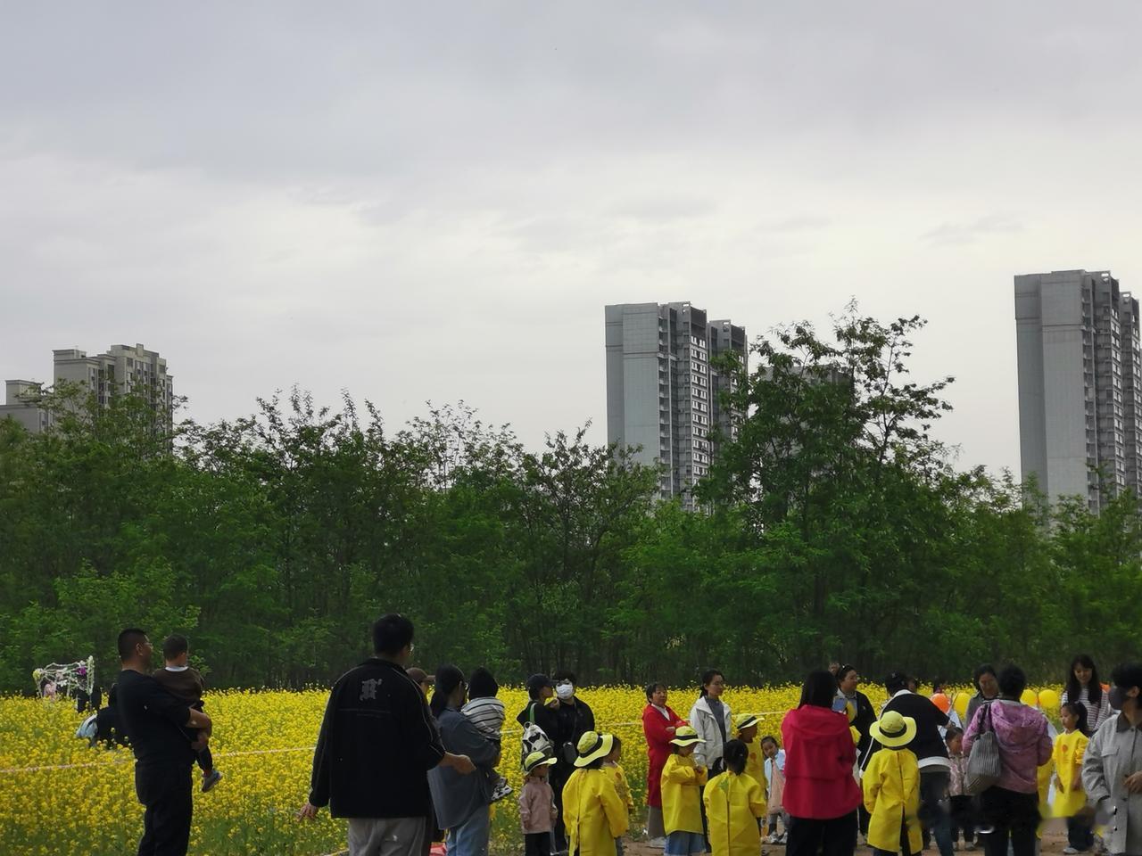 榆次北城配套完善，对刺激北城房价、推动楼市回暖至关重要！
北部新城由大学城、产业