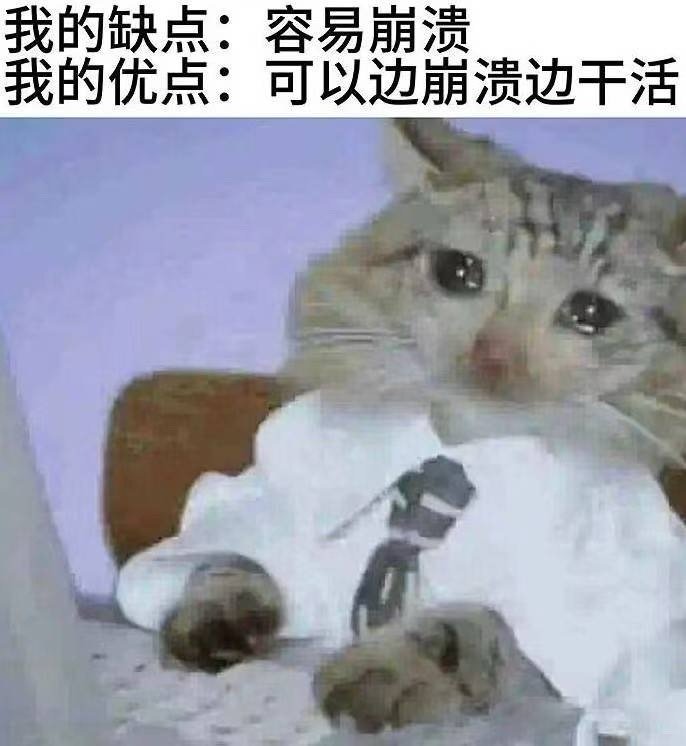 其实也是缺点 