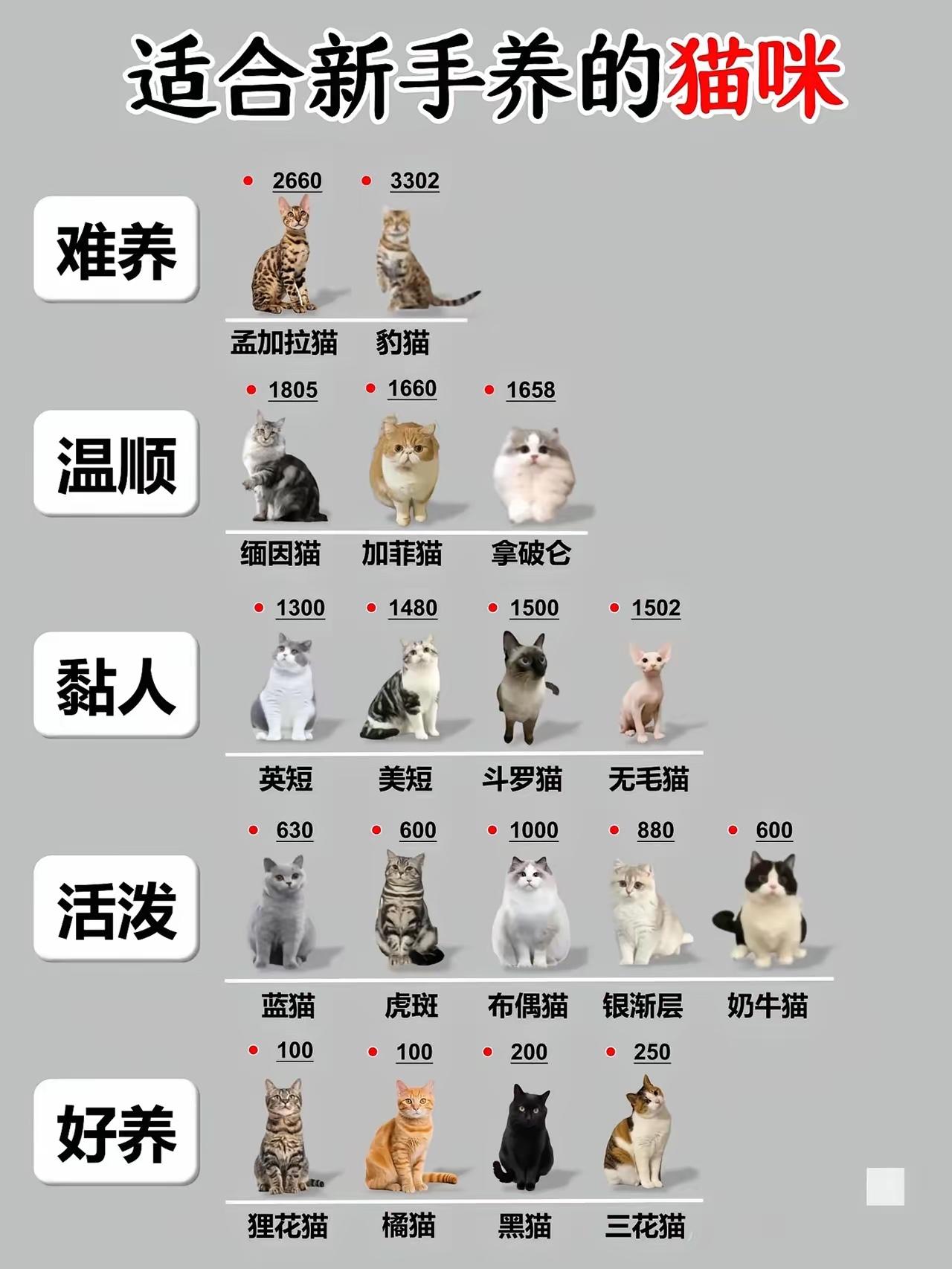 好喜欢养猫🐱
可惜一直没有机会
刚刚在三胞广场看到布偶
好可爱
睡的真香
之前