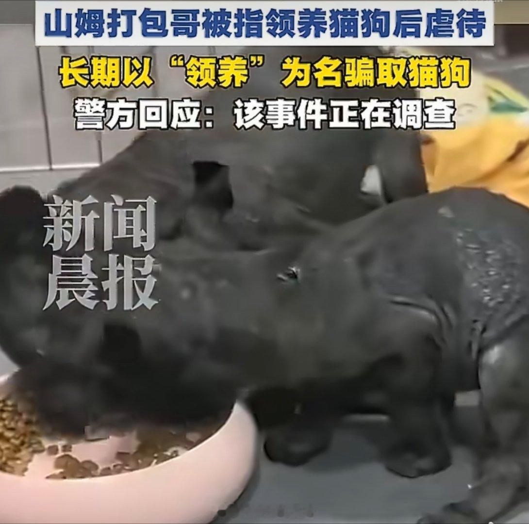 重庆官方通报李某被指虐狗重庆李某虐狗被立案，再次把"反虐待动物法"的缺失摆上台面