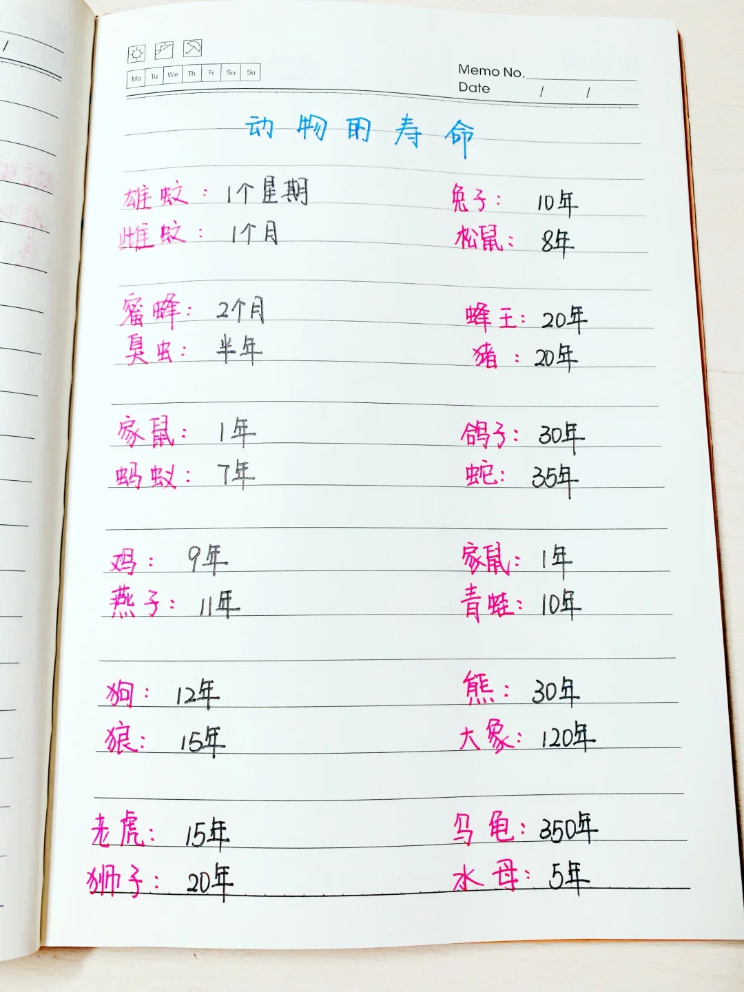 亲子时光｜睡前小知识