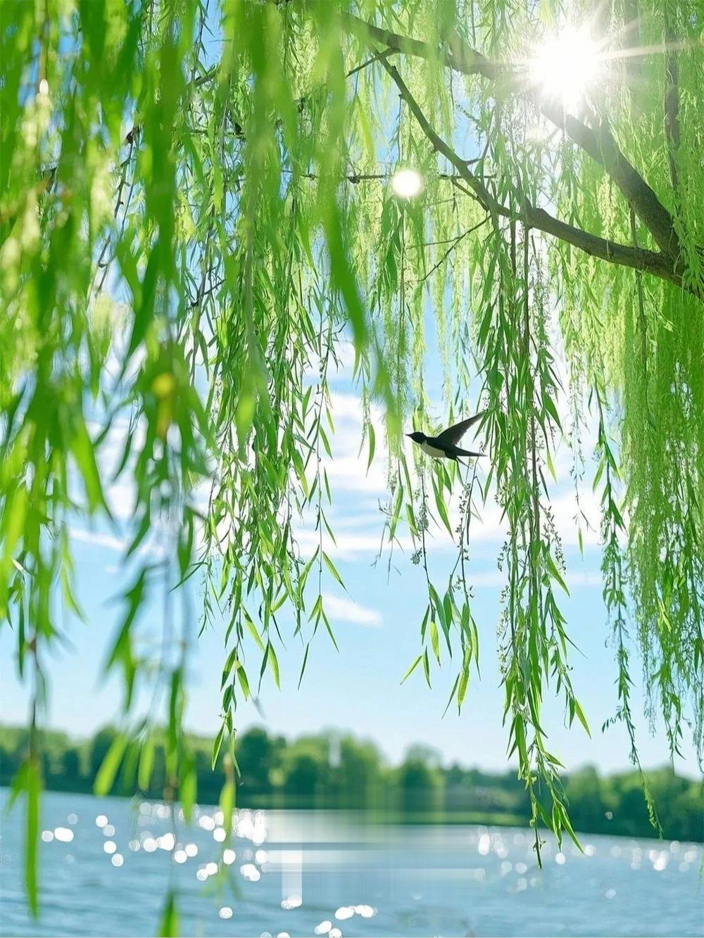 下联：桃花含笑春风中

解释：这幅对联中，下联“桃花含笑春风中”与上联“柳枝轻舞