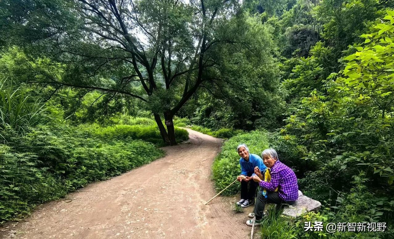 岁月静好，与君共享山林之乐🌳👵👨‍👩‍👧时光的静好 林泉闲意 余生皆清
