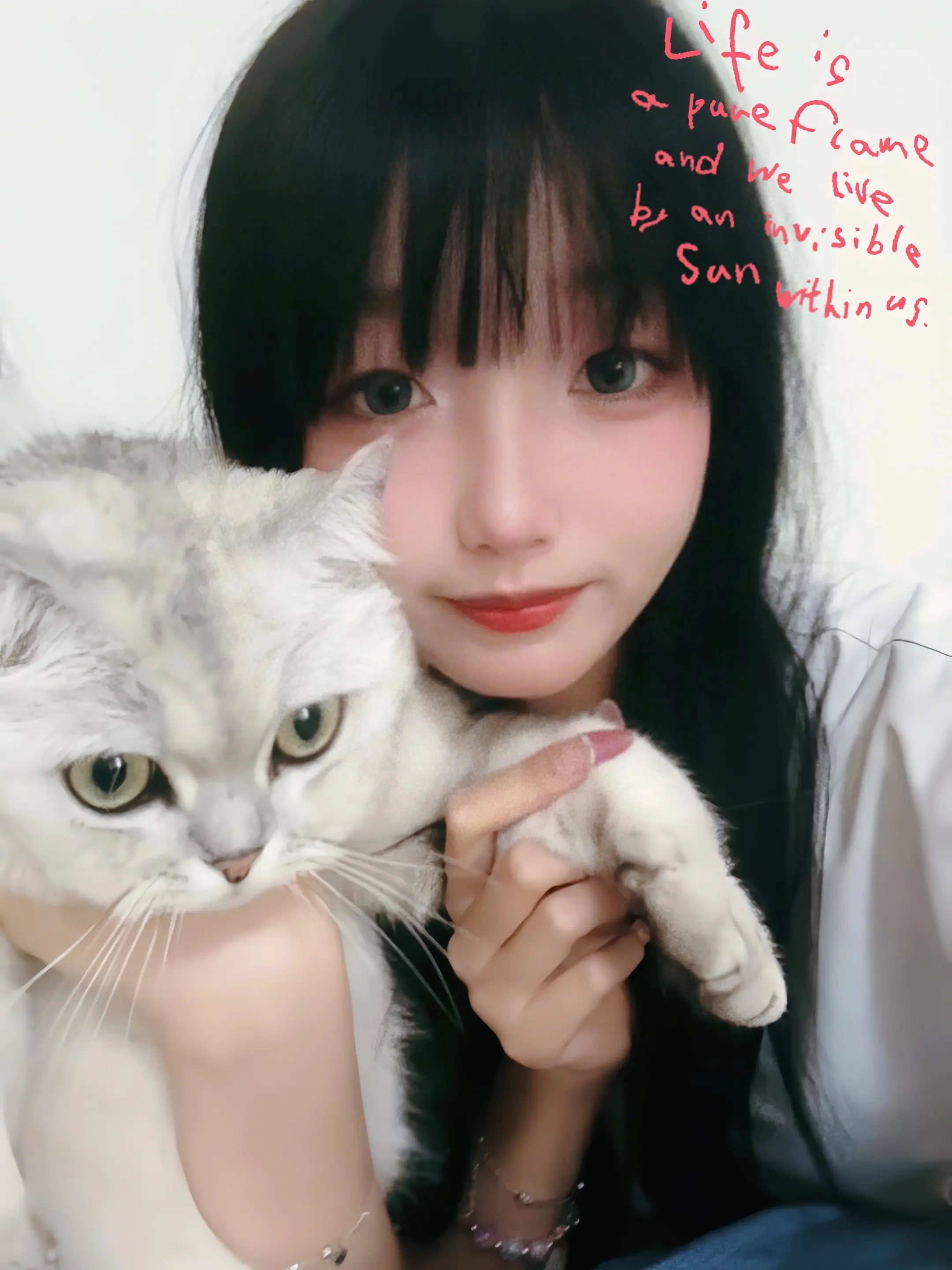 小猫盘中餐 òᆺó