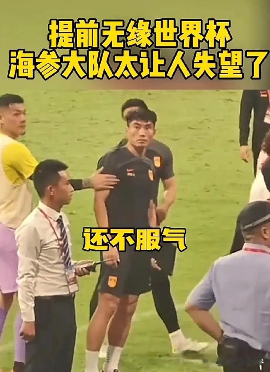 输不起就输不起嘛，你怒视粉丝是什么意思？

国足输给印尼之后，粉丝在赛场上怒骂不