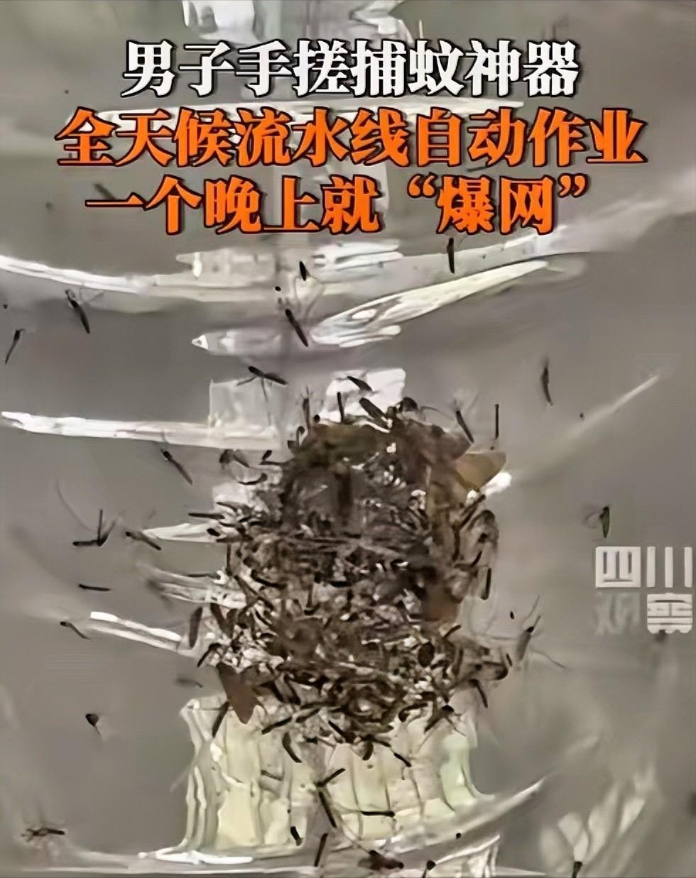 ”福建，一男子被村里的蚊子叮的不胜其烦，于是灵机一动，靠着风扇加紫光灯，自制一个