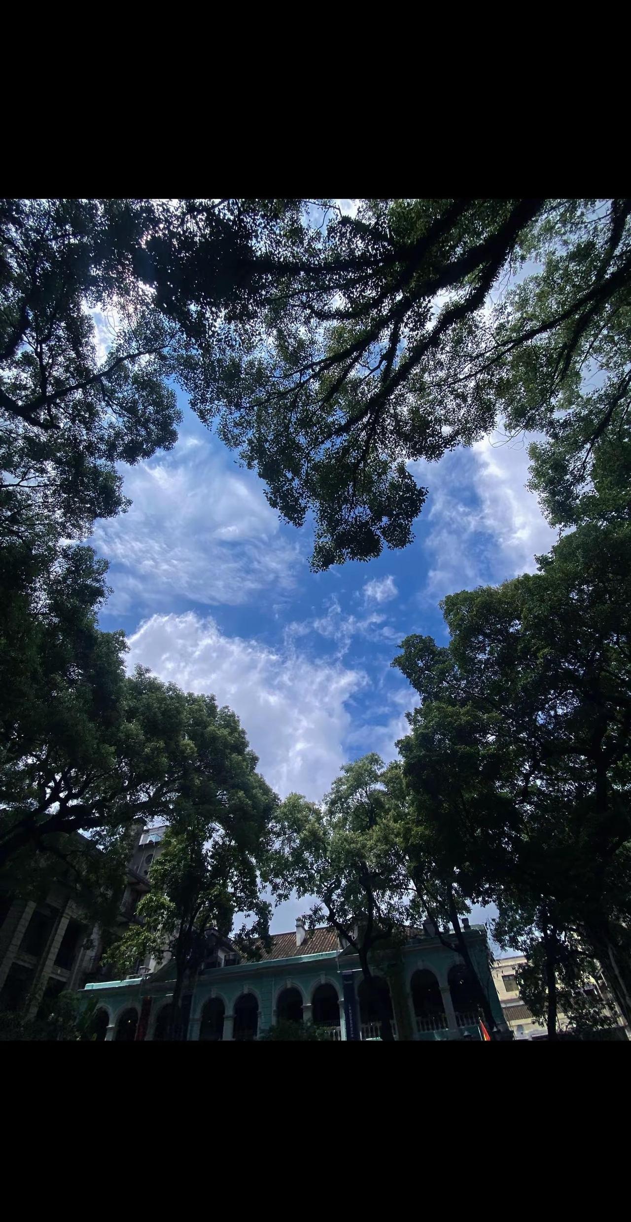 天气好的话 一起去沙面岛散步吧。dou上热门