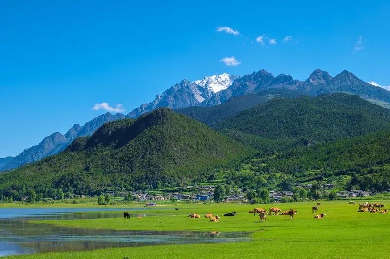 人生这趟旅途，就像一场充满未知的冒险。曾经，我被困在琐事里，愁绪难解。后来才明白