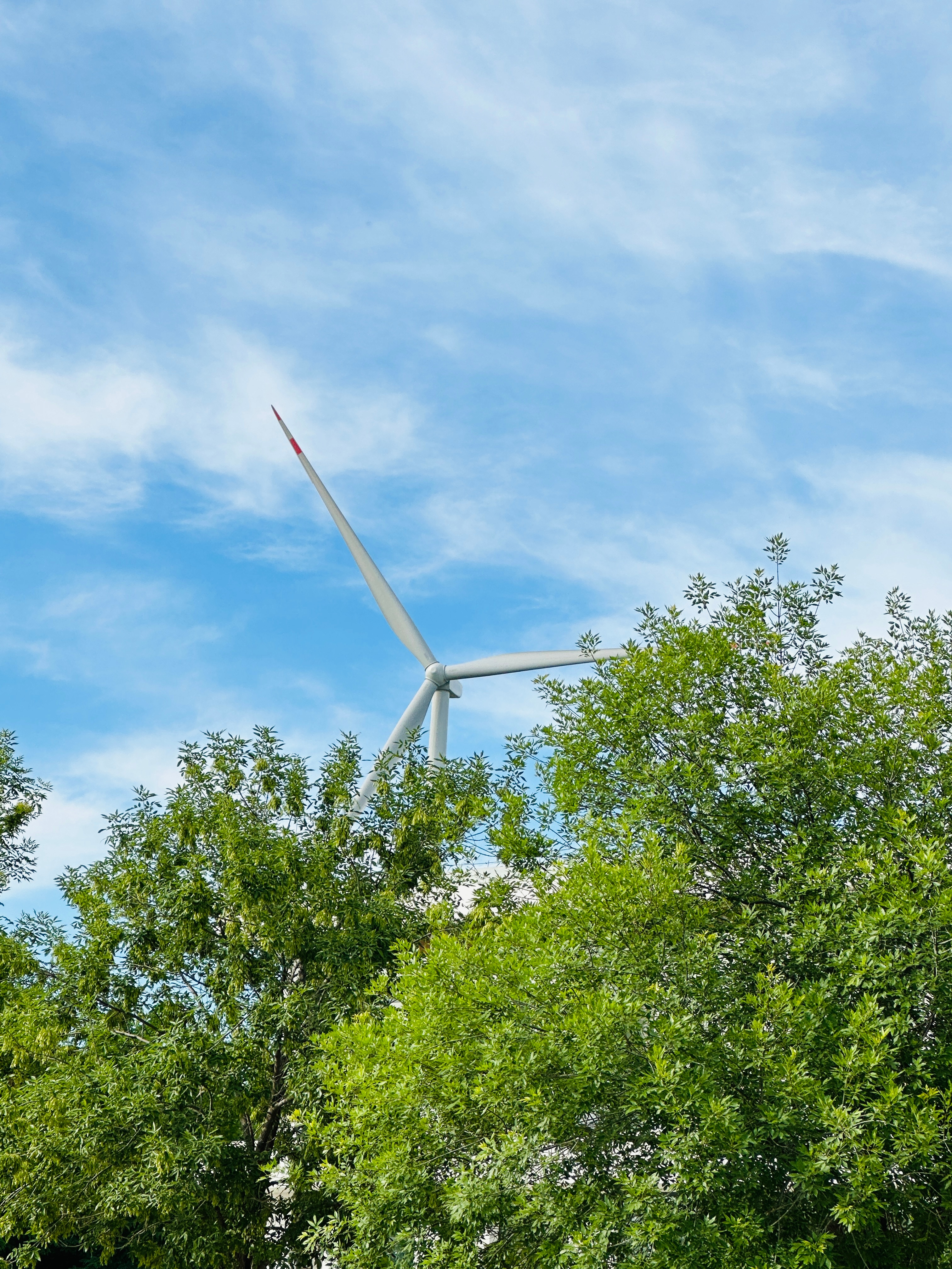 sa的旅行日记 ｜🚗驶向我的路｜解锁北京周边丛林秘境，专属自驾漫游指南，共赴沿