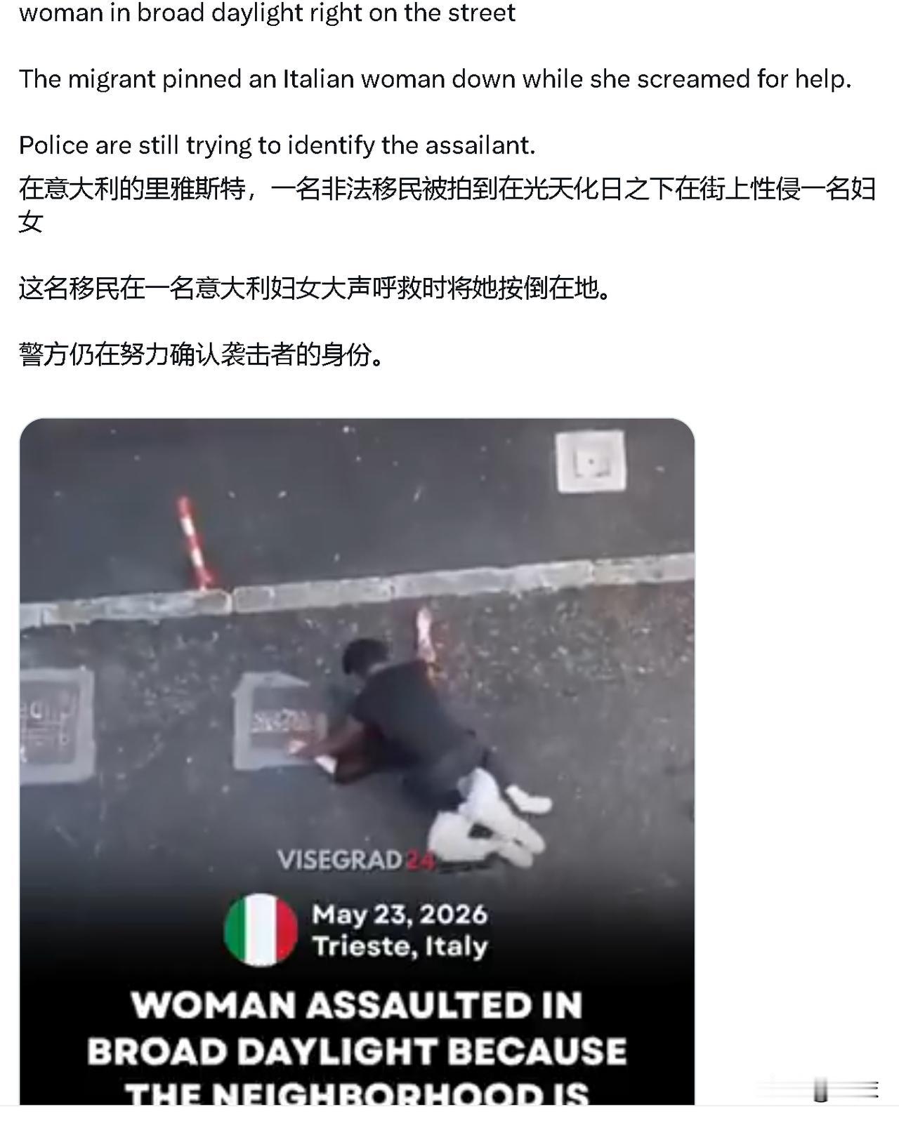 这些移民无法无天到什么地步？光天化日之下，居然在街上性侵意大利妇女，这事被路人拍