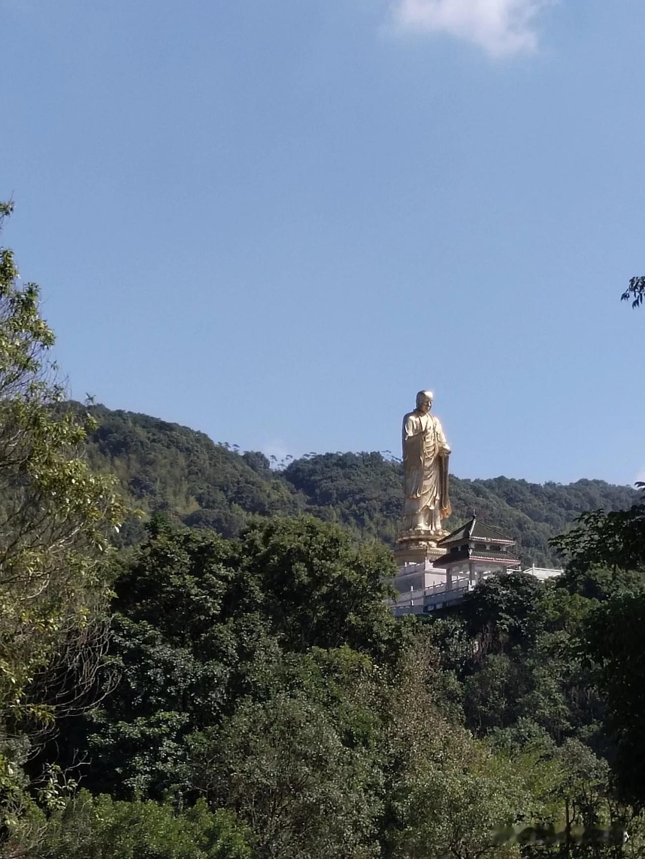 春日随手拍