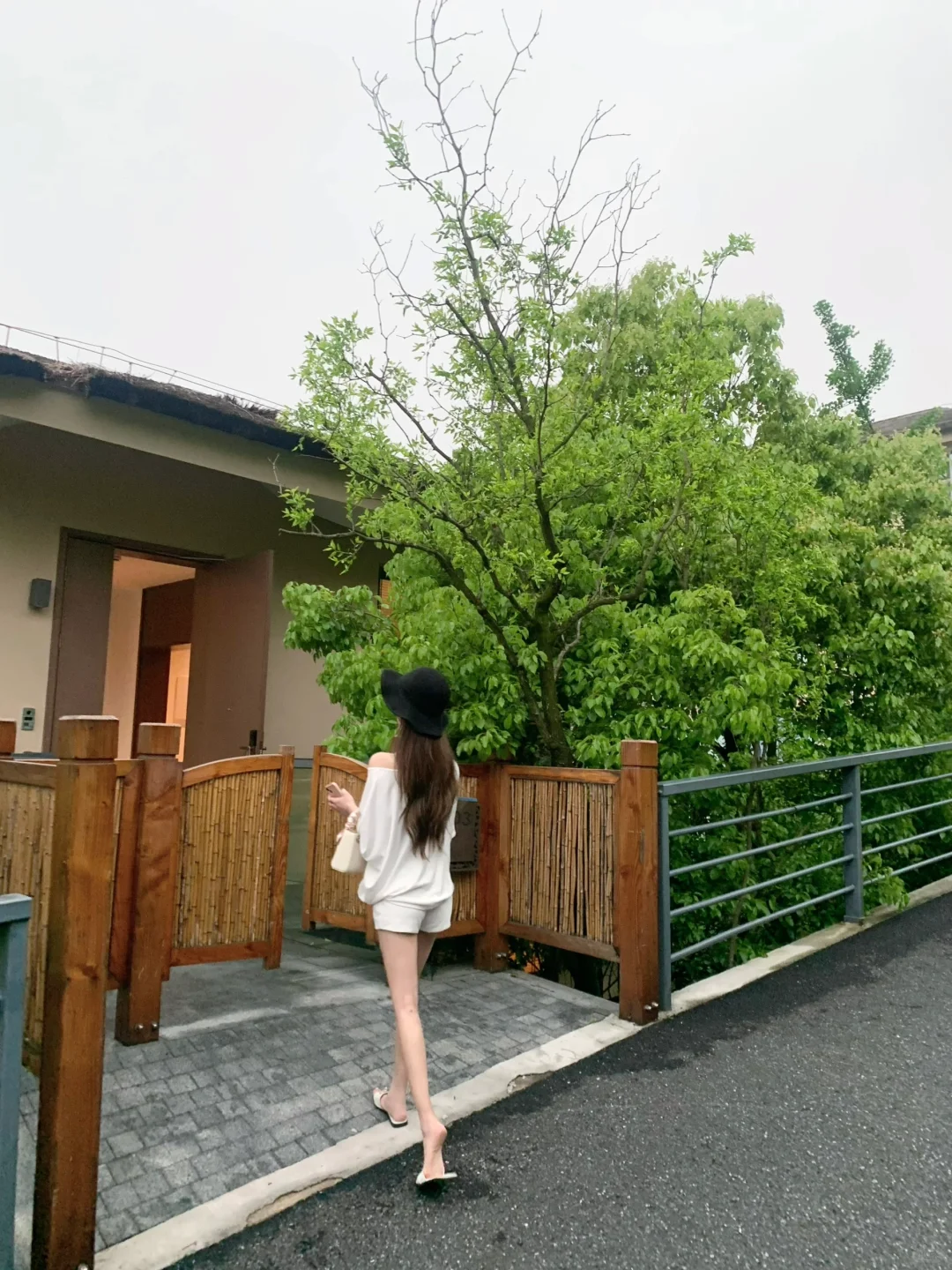 亲近山林 雨天的chill时光