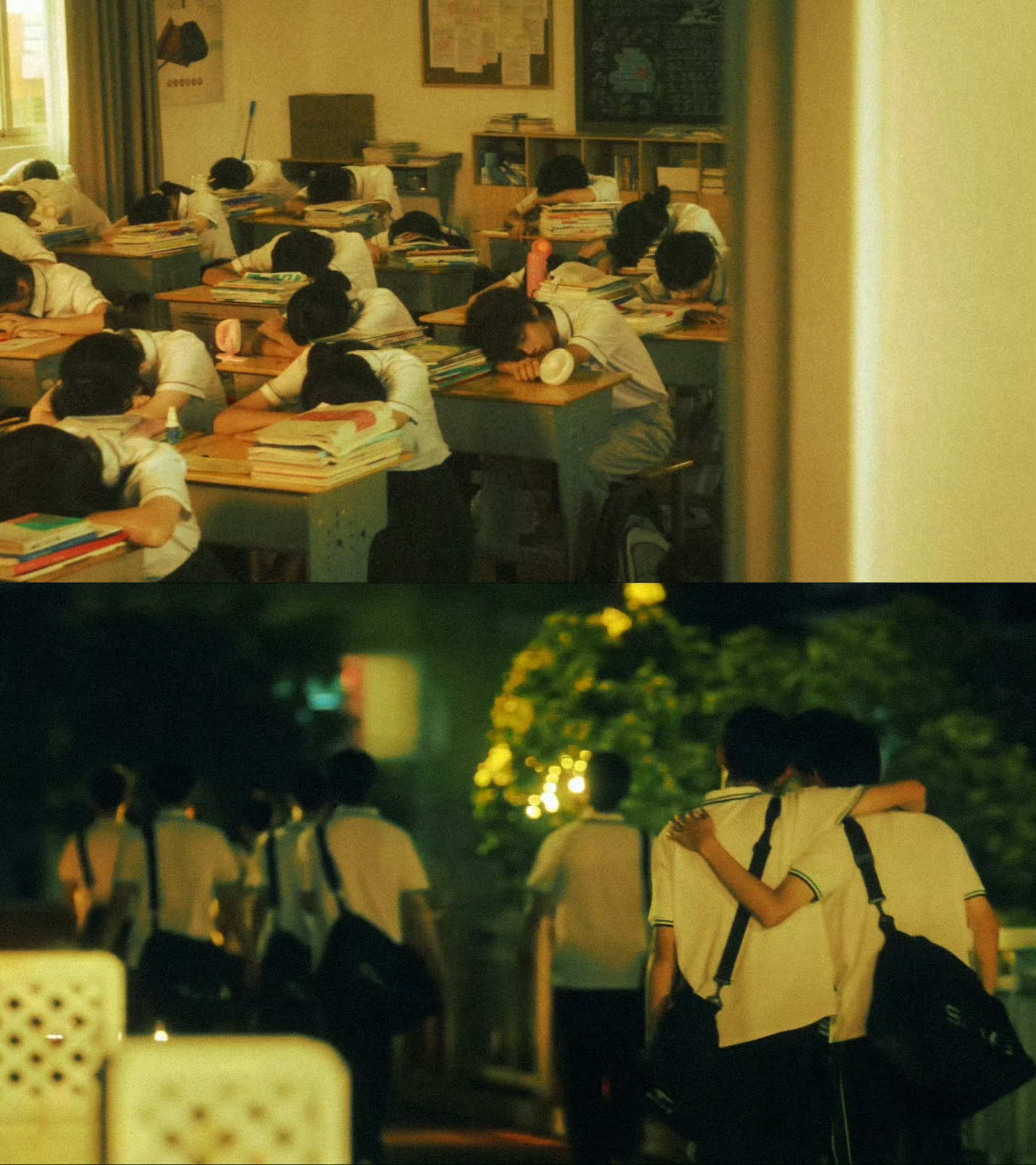 你们不看《灿如繁星》我真的会哭 