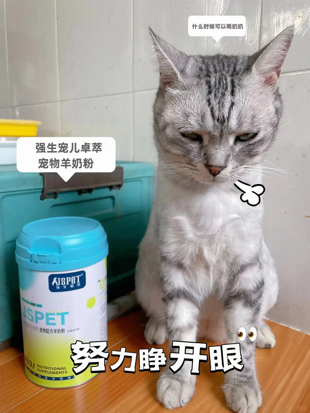 2岁的猫了还喝羊奶，羞不羞？