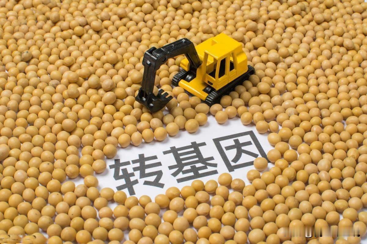 超过十年的第一！巴西2023年再一次是中国进口大豆首要渠道，祝贺

源自国家统计