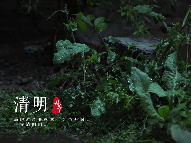 馨漪婉风所作的这首《七绝•雨落清明》，着实写得韵味十足。“雨洒坟茔泪暗流”，清明