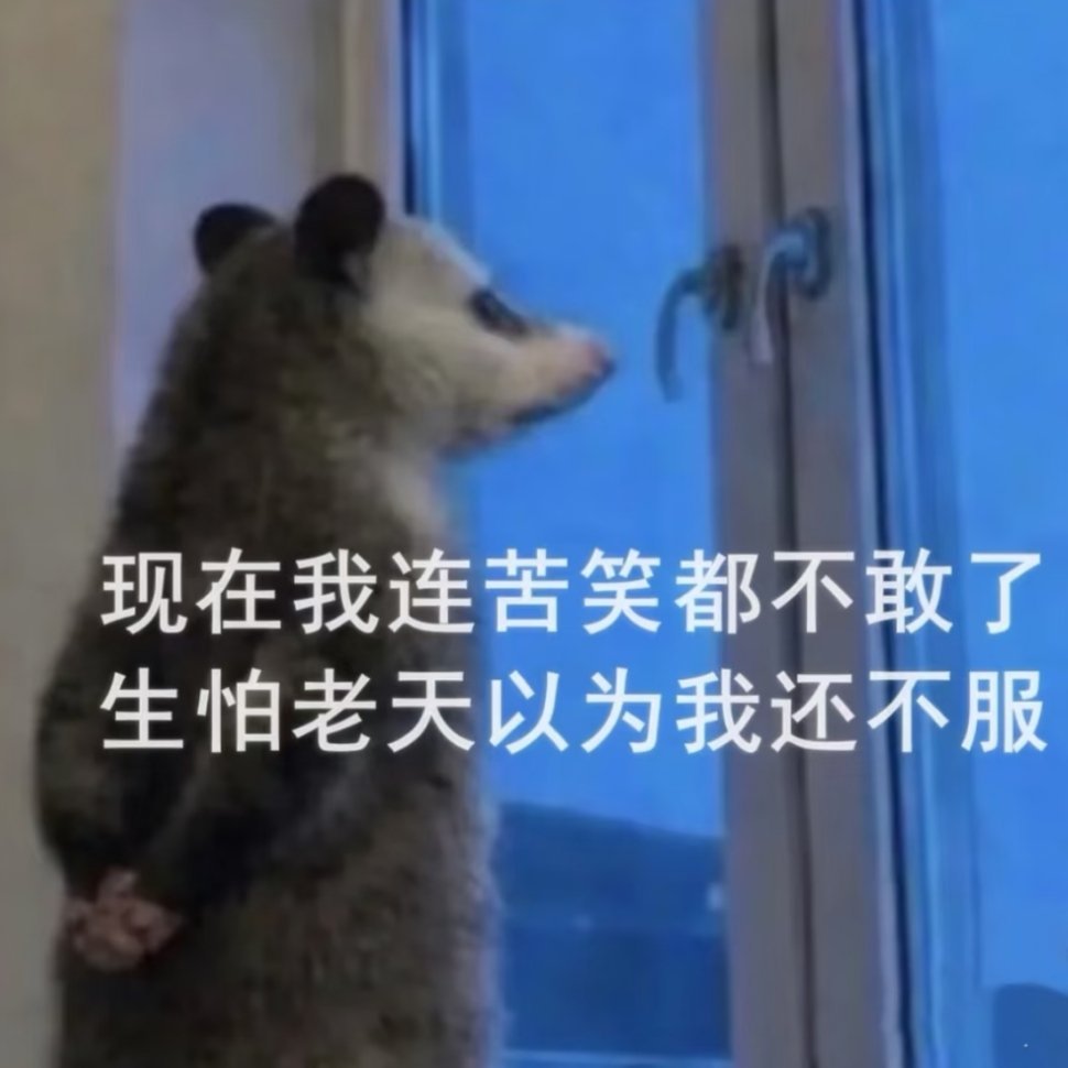 你见识到社会的厉害了吗？不 我见识到时代峰峻的厉害了👍🏻 
