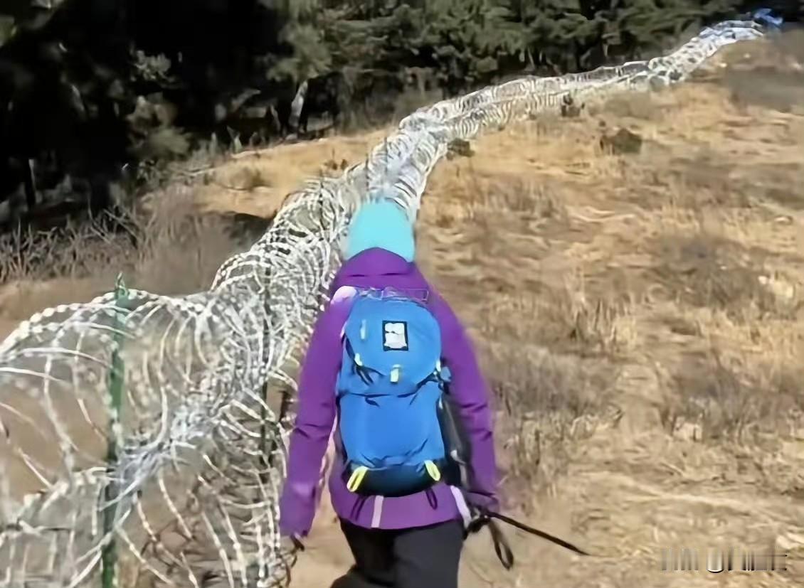 巍巍泰山，是刻在国人骨血里的文化图腾，是联合国认证的双重世界遗产。古往今来，它敞