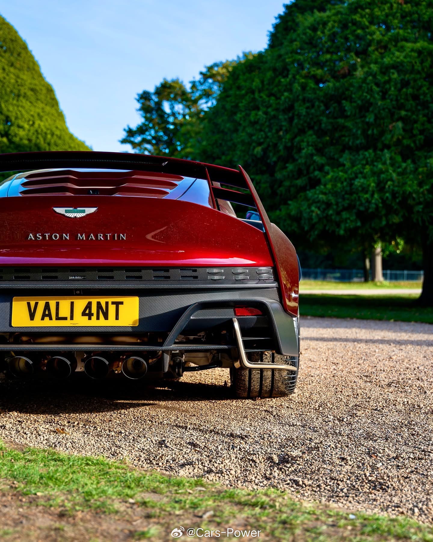 👺全球限量38台👺Aston Martin Valiant ​​​