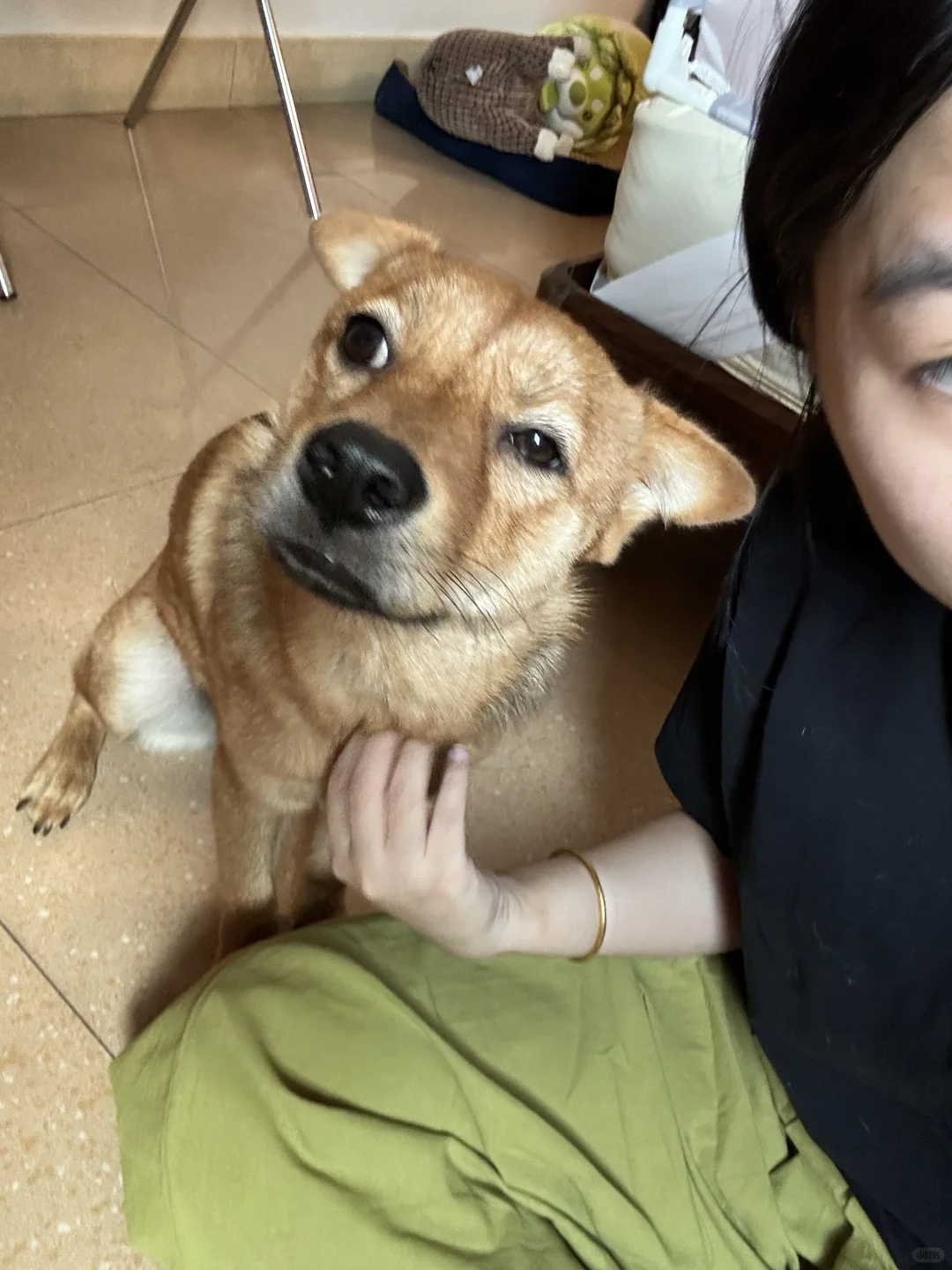 麻麻酱。。再挠就要迷糊了😵‍💫