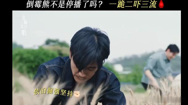男女主吭哧吭哧帮了一堆倒忙 笑不活了！男主手按镰刀，女主手忙脚乱，俩精英种地，把
