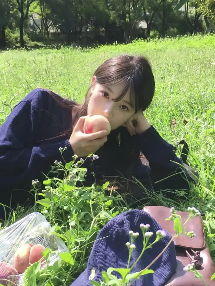 城北的花开了几个冬夏 城南的你还好吗.