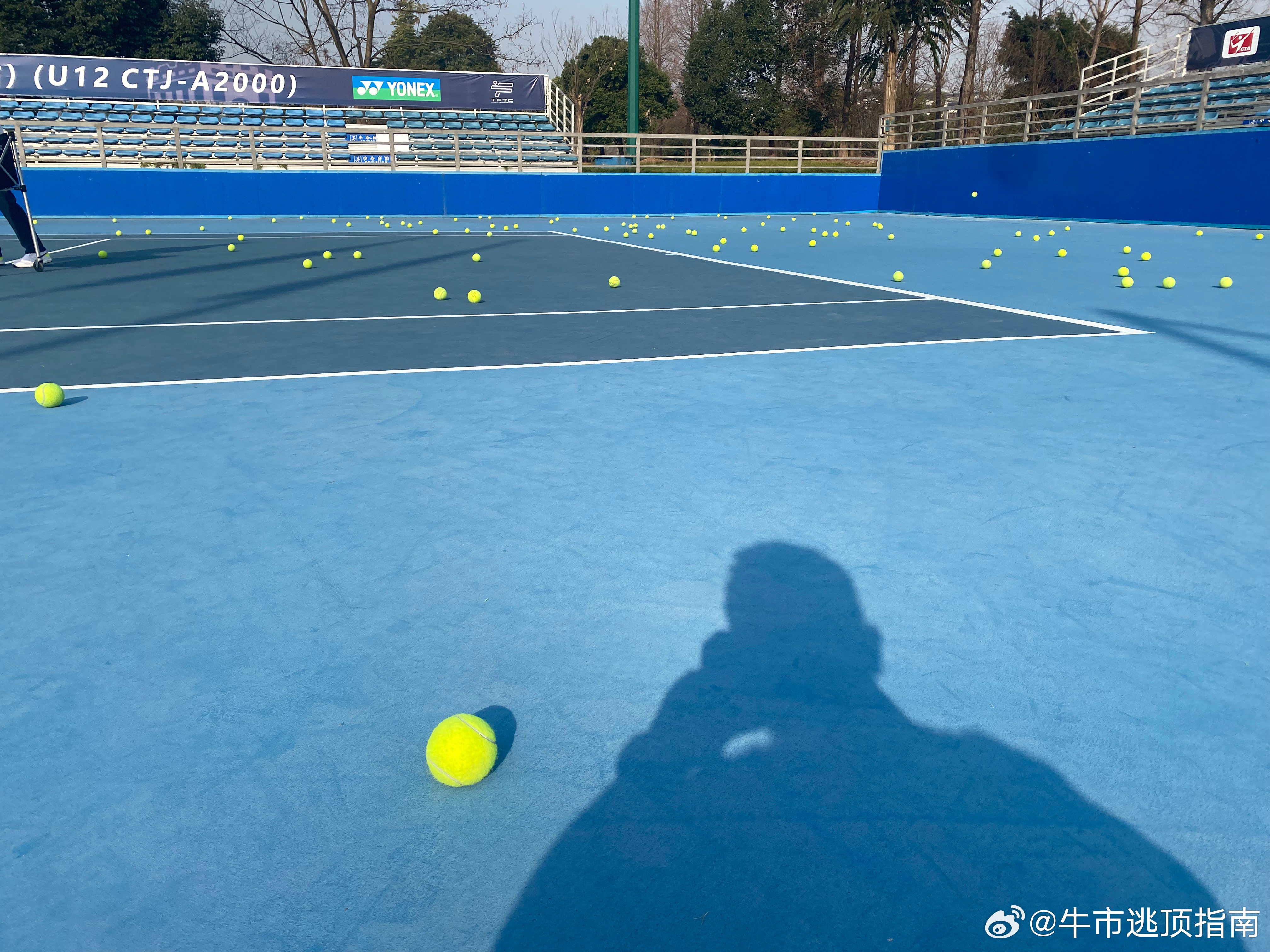 没错，论捡球，我绝对是专业的