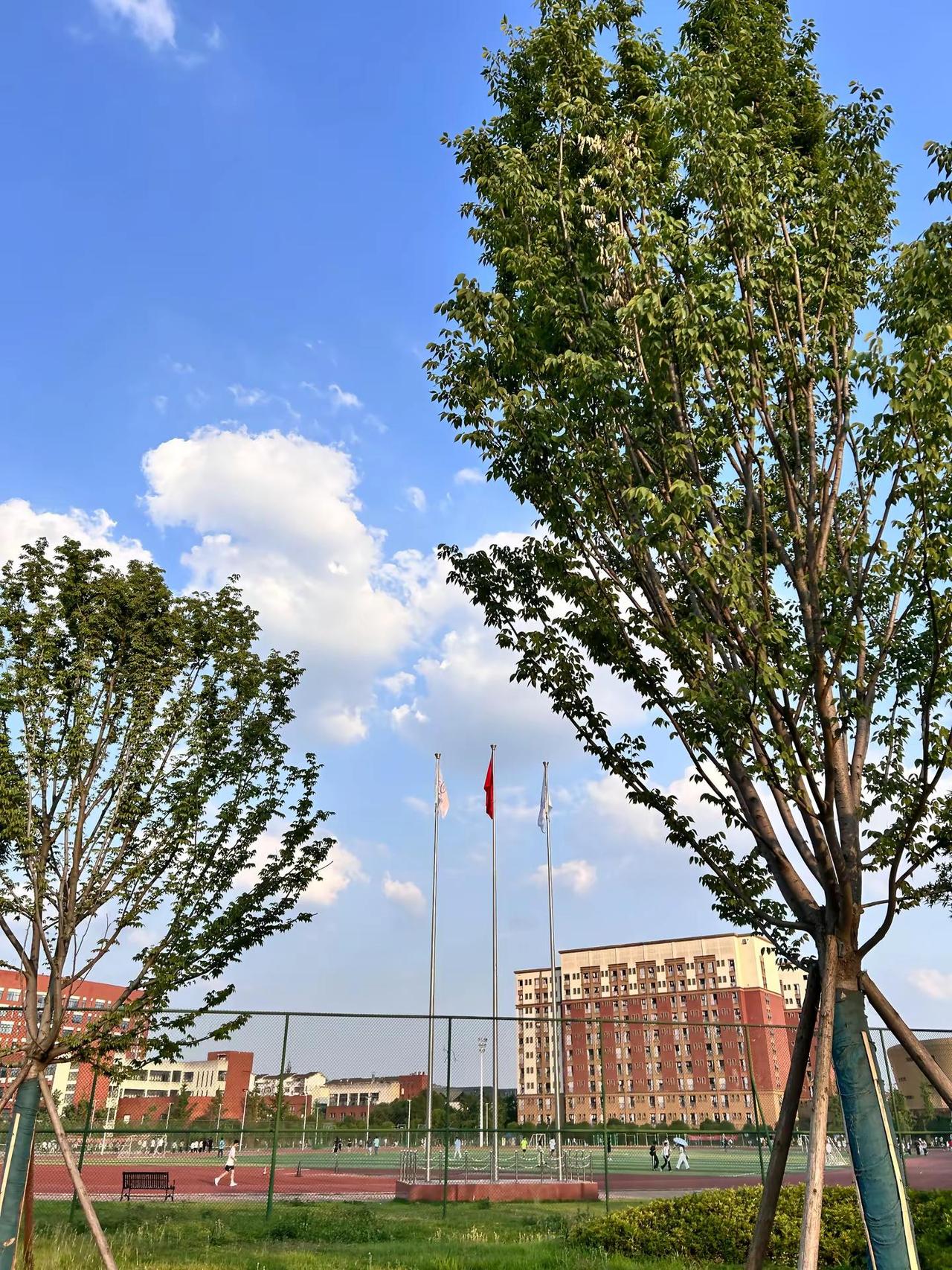 在绵阳城市学院无人注意到的角落。绵阳城市学院 绵阳城市学院安州校区