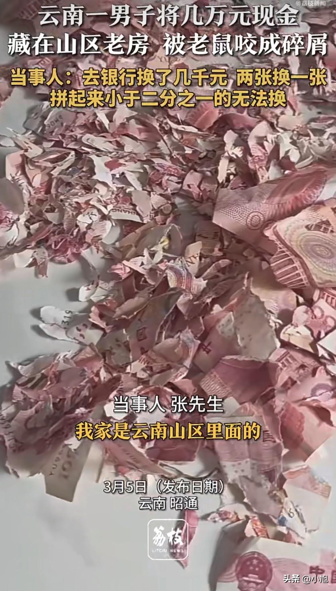 绷不住了！云南昭通一位大哥，把几万块现金藏在家里，结果被老鼠咬成了碎屑 。

钱