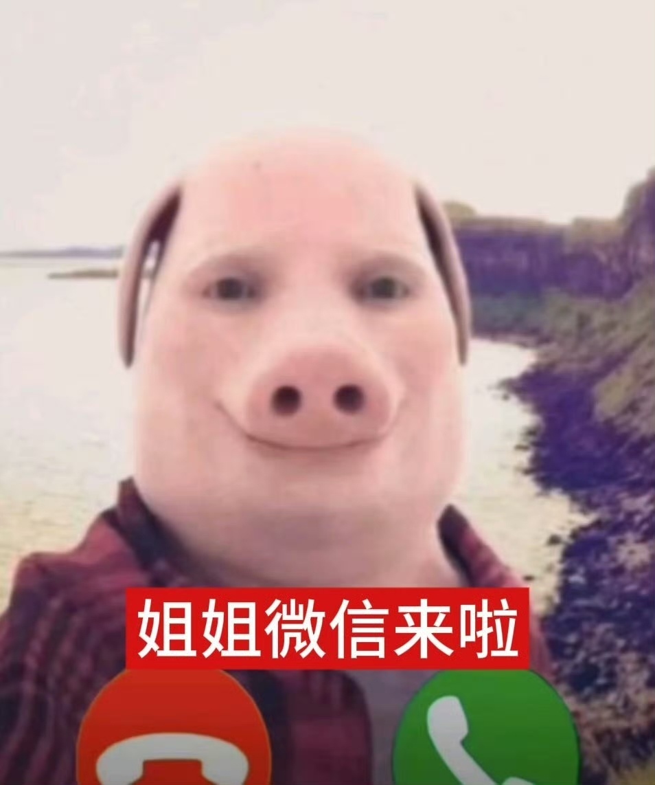 hi！ 