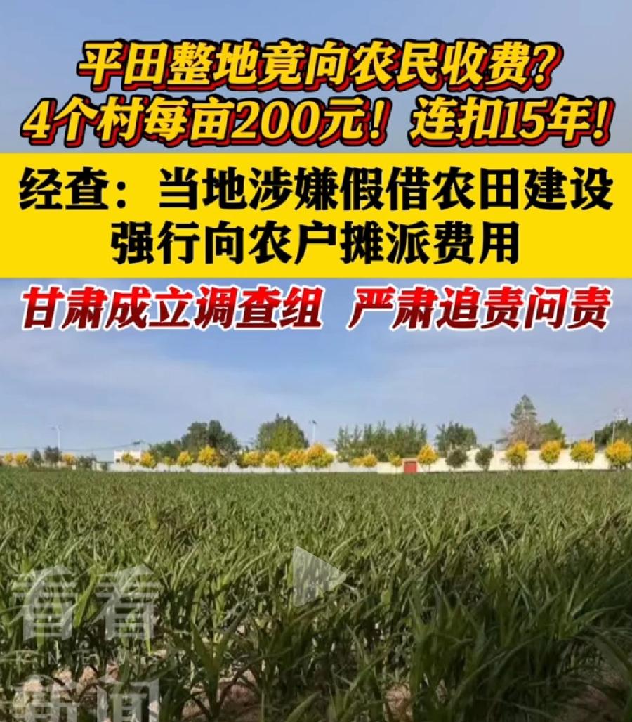 临泽平田整地农民还贷。一个疑问，农民不同意流转土地是核心，导致国企盘算落空，难道