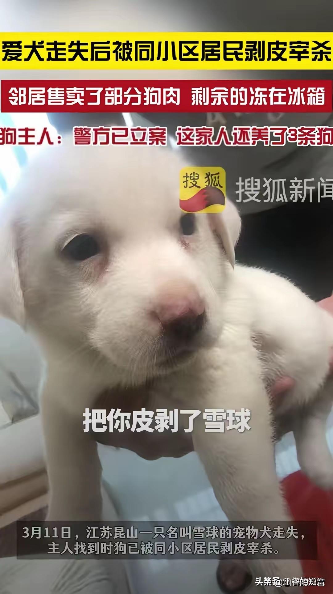 江苏昆山，女子没关好门，家里的狗跑了出去，结果被邻居老人剥了皮把肉卖了。女子和丈