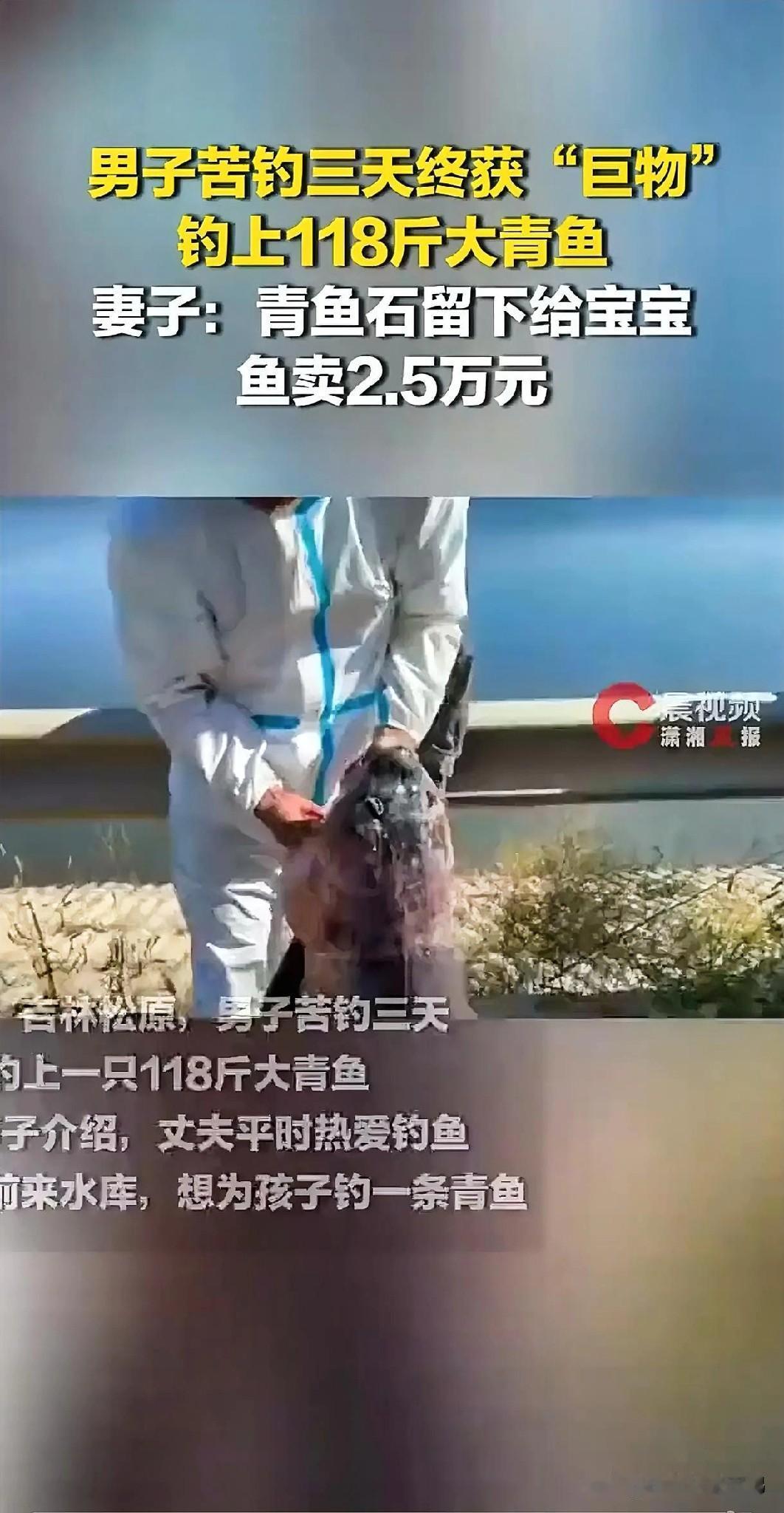 吉林松原这名钓友，这次出名在钓圈。他花三天时间钓到一条青鱼，他和钓友们一样，都没