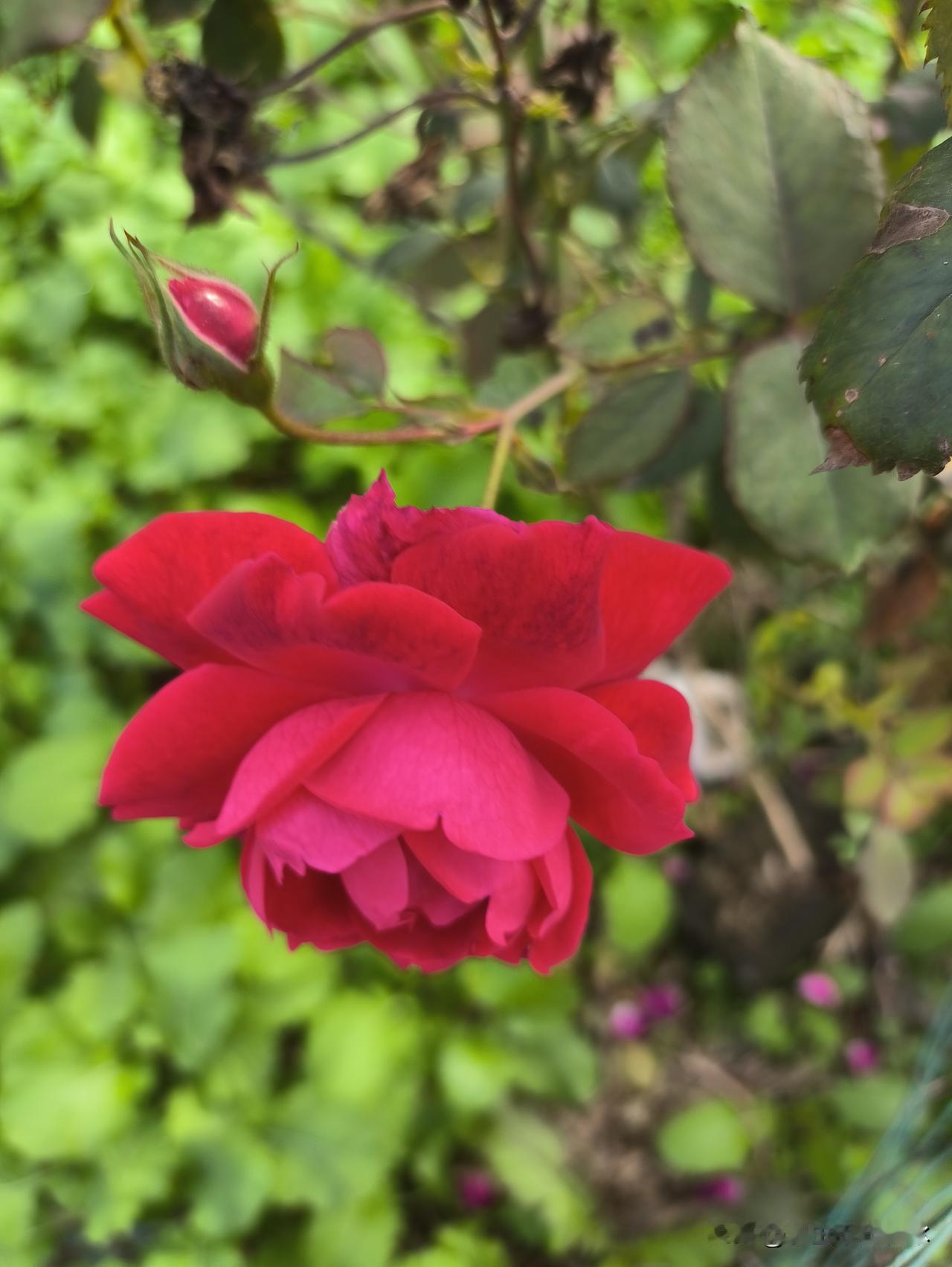 单身老人是找个伴还是继续单身好? 说实话，不管是男人还是女人，只要处于单身状态，