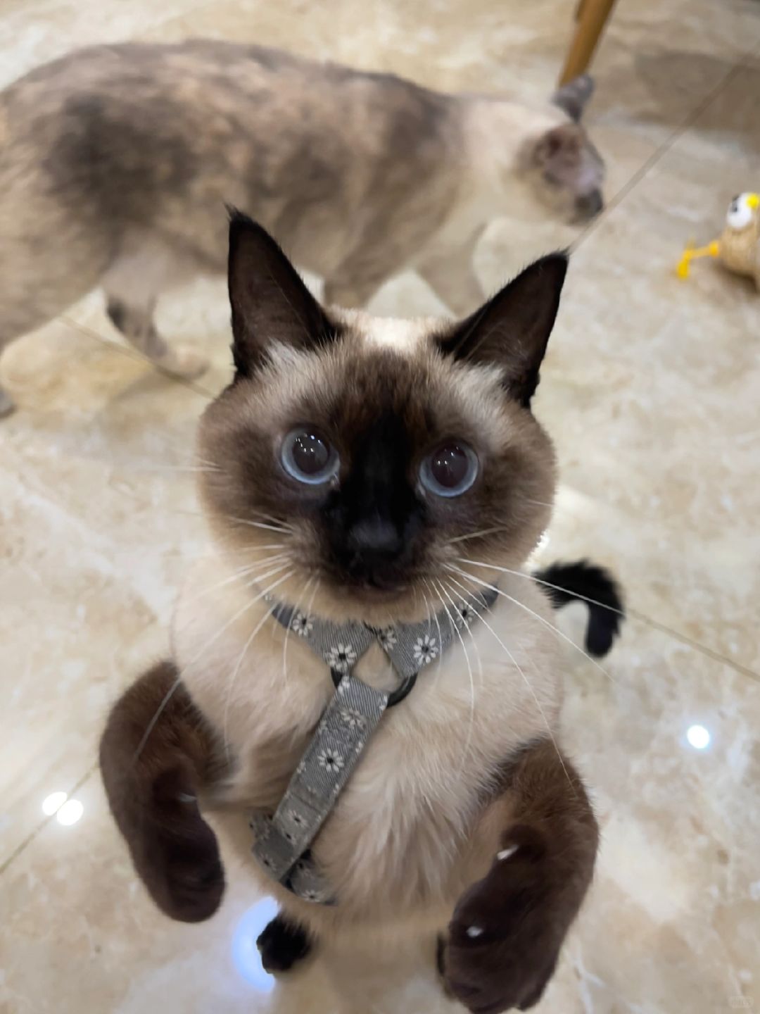 “妈，要抱抱！”