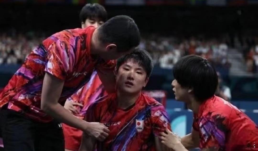 #张本智和输比赛后笑了#回不去的故乡，融不进的异乡！张本智和：教练说那本来是已经