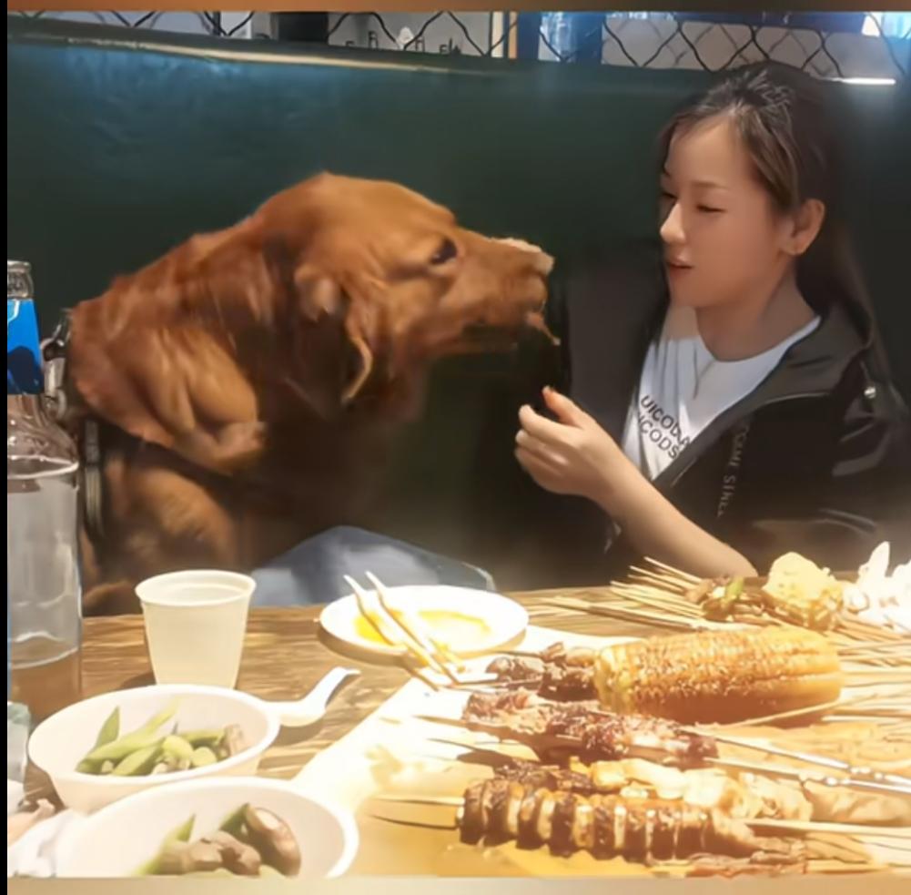又有一家饭店要倒霉了，女子带着自己的大狗狗在餐厅里吃烤串，把一个个的带着签子的烤