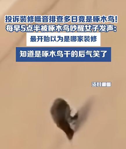 “万万没想到！”近日，辽宁沈阳，一女子睡觉时，老被一阵“咣咣咣”的声音吵醒，她以